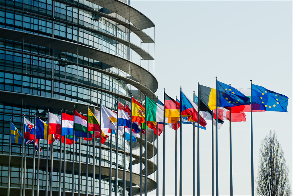 Ευρωομάδα του ΣΥΡΙΖΑ Προοδευτική Συμμαχία: Ψήφισμα της Ολομέλειας του Ευρωπαϊκού Κοινοβουλίου